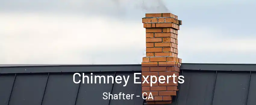 Chimney Experts Shafter - CA